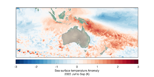 Sea surface temperature